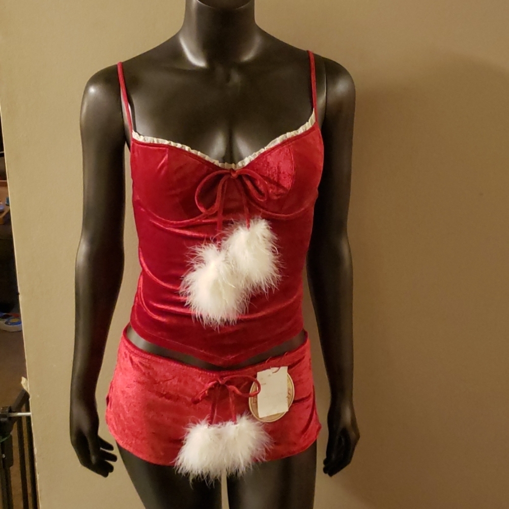 Sexy Santa outfit (never worn)
